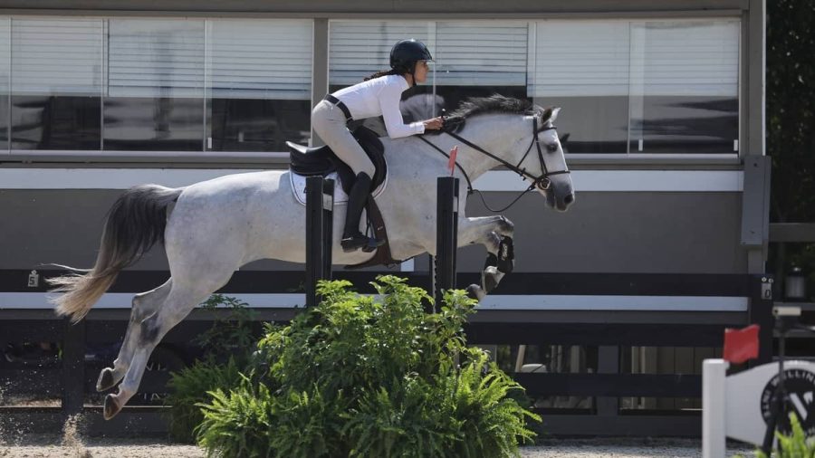 Gabrielle Migliore jumping