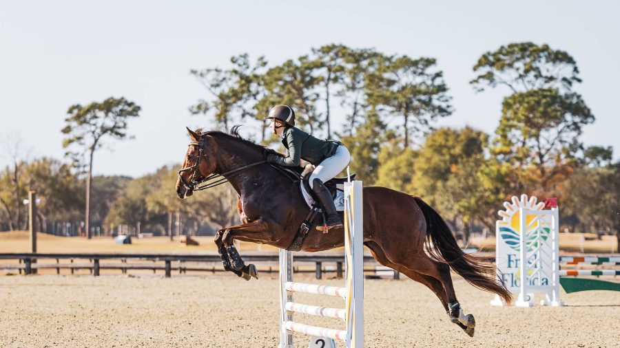 Allison Andrews and horse jumping