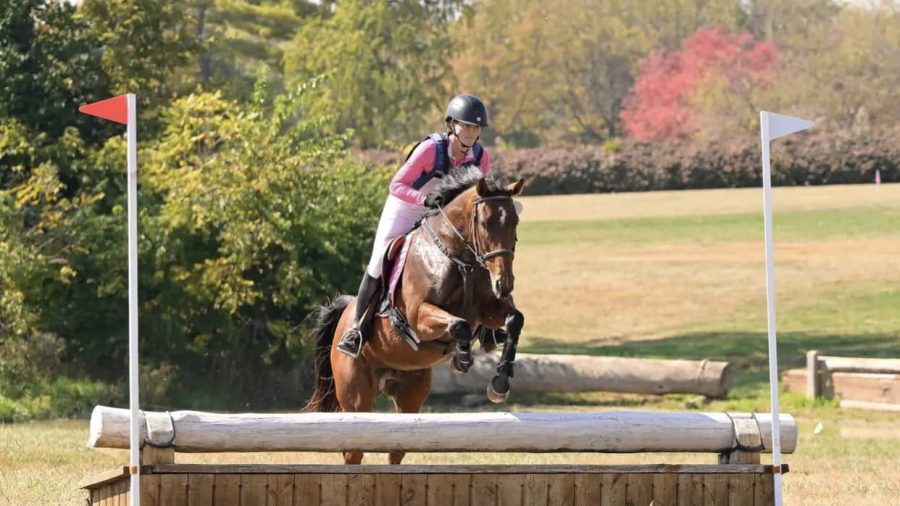 Karyn Wittek jumping