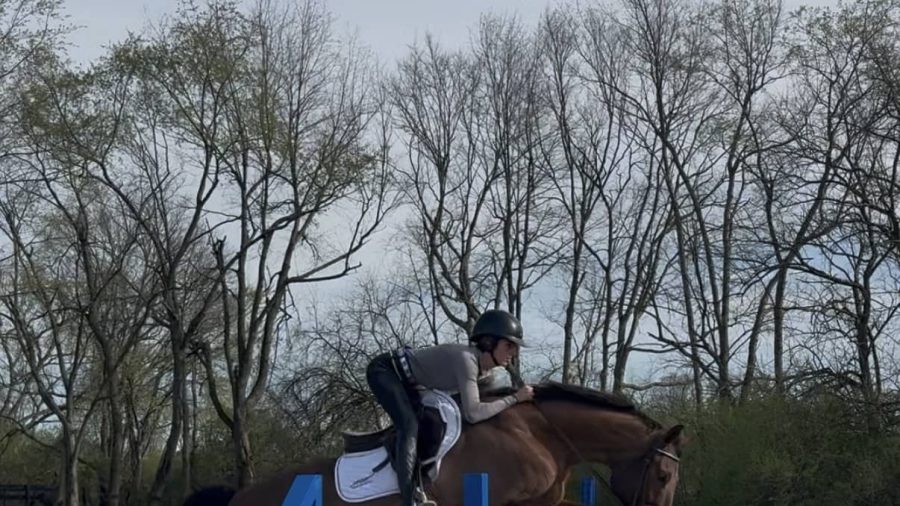 Taylor Thompson jumping